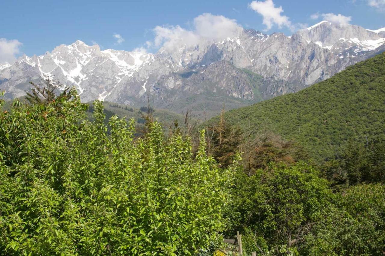 Apartamentos Camino Santo Toribio Mieses Dış mekan fotoğraf